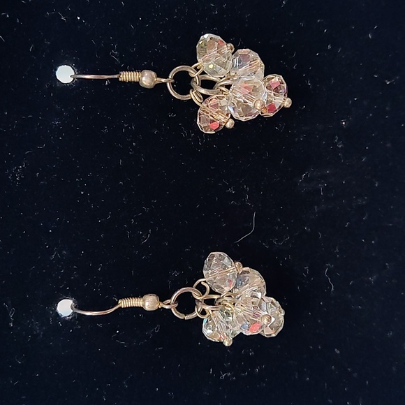 Sparkly Faceted Iridescent Beaded Earrings - Picture 1 of 3